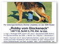 Robby vom Glockeneck